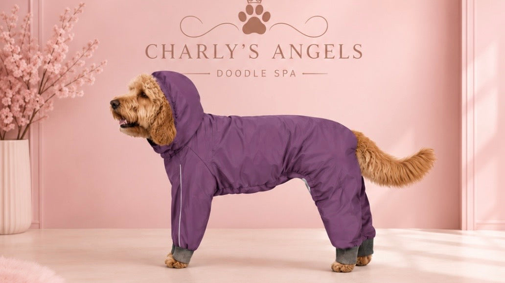 Angel Raincoat