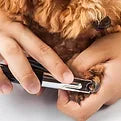 Nagels en oorverzorging