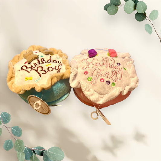 Birthday Cake