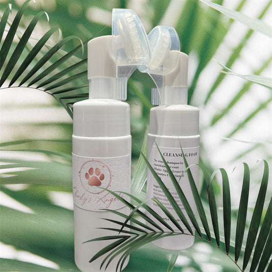 Cleansing Foam
