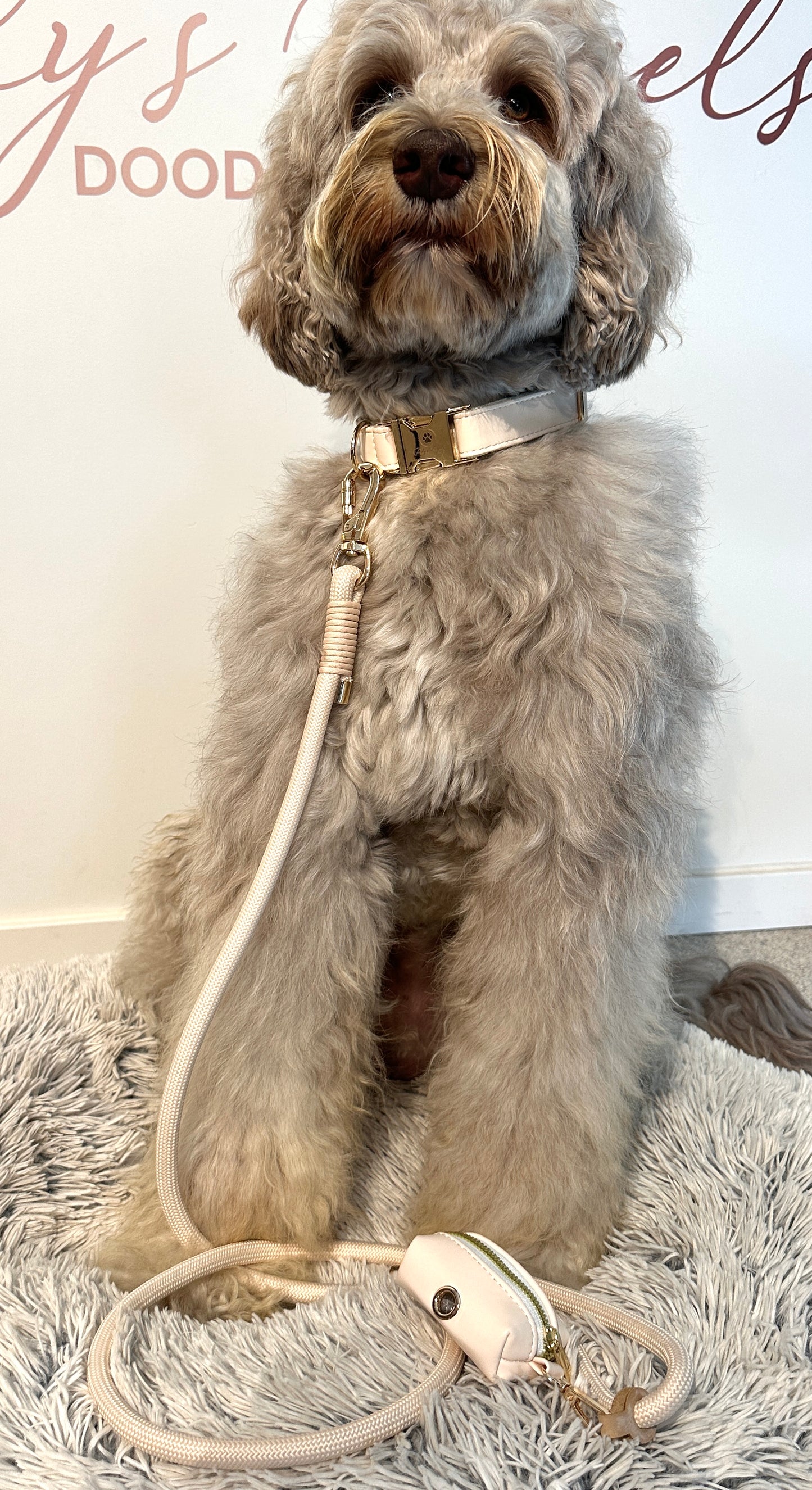 Halsbandenset Rope