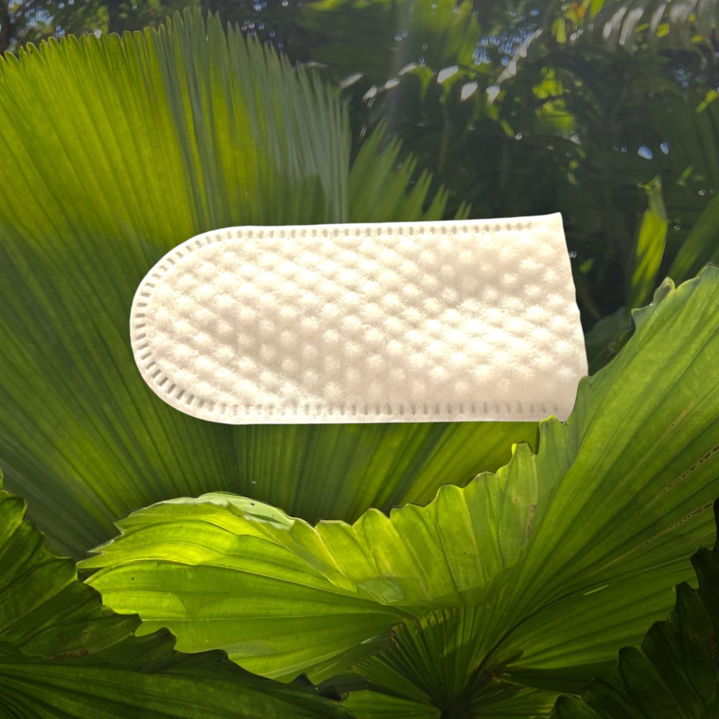 Ear Wipes
