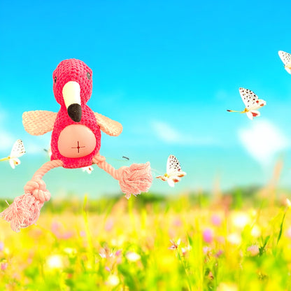 The Bird