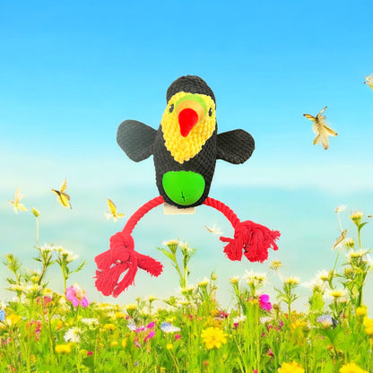 The Bird