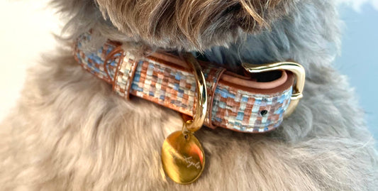 Collar