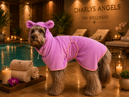 Teddy Badjas