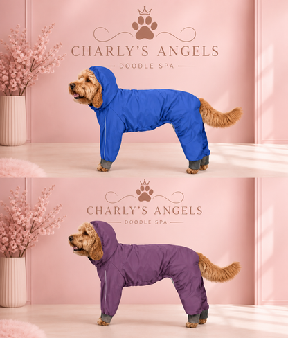 Angel Raincoat
