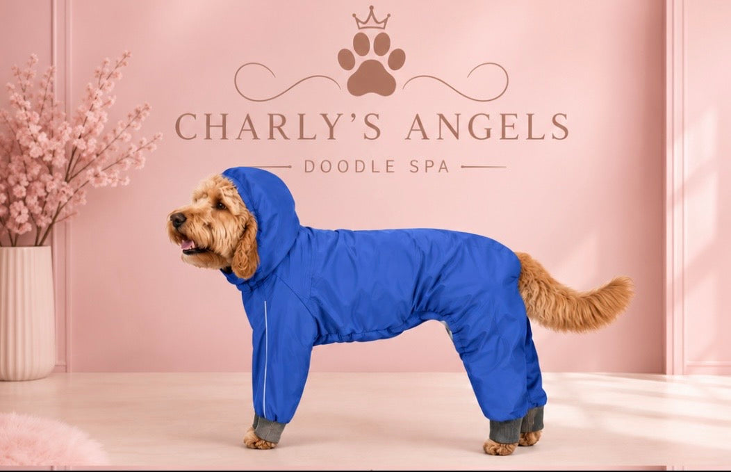 Angel Raincoat
