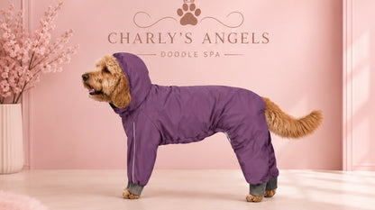 Angel Raincoat
