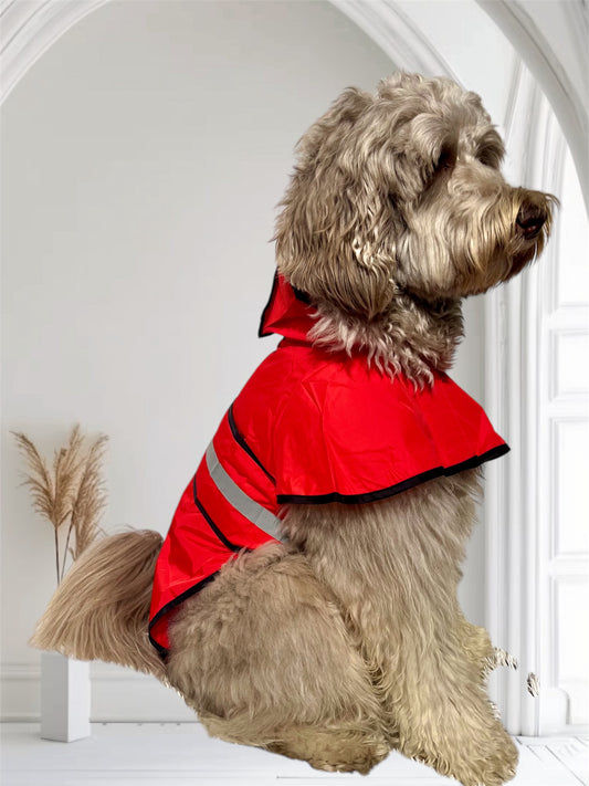 Raincoat On the GO