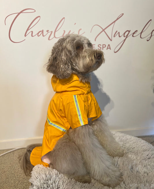 Raincoat Charly